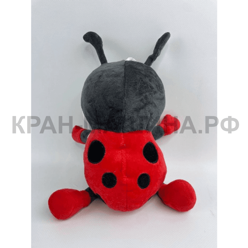 Божья коровка. Фото № 1