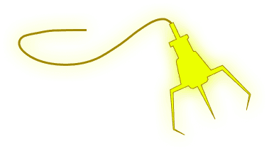 claw yellow